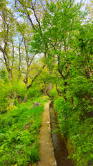 Embrace the beauty of spring, where every step leads to serenity and endless adventure.
📍Hawraman Takht, Kurdistan 
