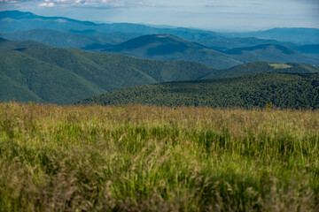 Idyllic mountain scenery with fresh green meadows. Sunny day in springtime. National Park Landscape.