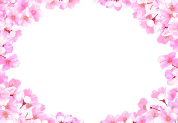桜　枠　素材　水彩画　お花見　ひな祭り　入学　卒業　入社　新生活　おしゃれ　華やか　飾り　見出し　タイトル　囲み　キャンペーン　白背景　透過　cherry blossoms,watercolor