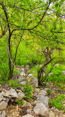 Embrace the beauty of spring, where every step leads to serenity and endless adventure.
📍Hawraman Takht, Kurdistan 
