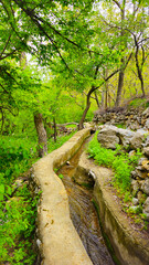 Embrace the beauty of spring, where every step leads to serenity and endless adventure.
📍Hawraman Takht, Kurdistan 
