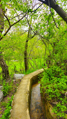 Embrace the beauty of spring, where every step leads to serenity and endless adventure.
📍Hawraman Takht, Kurdistan 
