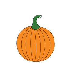 Pumpkin vector illustration on white background