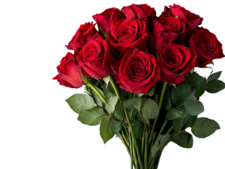 A romantic bouquet of red roses with green leaves, isolated on a clean transparent background, PNG file.
