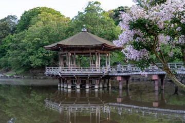 Fototapeta premium Ukimido Pavilion in Nara park early in the morning