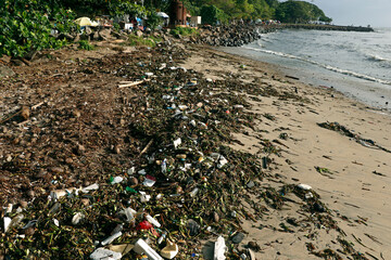 Litter and seaweed scattered on a sandy beach, with plastic waste, paper, and other debris polluting the natural environment