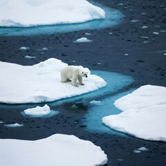 Polar bear standing on melting ice floe in arctic ocean
