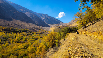 	
Autumn in Hawraman Takht unfolds a stunning landscape, where vibrant colors paint a mesmerizing scene that soothes the soul and mind. 
📍Kamalla village - Hawraman Takht