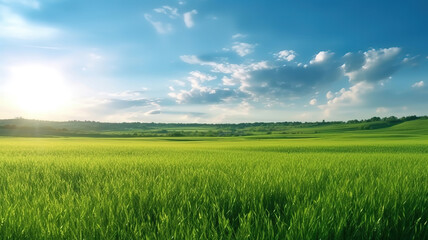 Blurred Spring Summer Landscape of Green Field Under Blue Sky with Sunlight