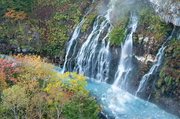 Fototapeta premium 白ひげの滝と紅葉