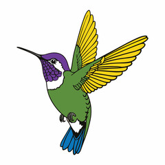a digital illustration of a hummingbird in a stylized, cartoonish manner. The bird has a bright green body, a deep purple head and throat, a white chest, and a vibrant blue tail.