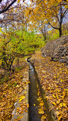 Autumn in Hawraman Takht unfolds a stunning landscape, where vibrant colors paint a mesmerizing...