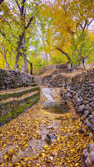 Autumn in Hawraman Takht unfolds a stunning landscape, where vibrant colors paint a mesmerizing...