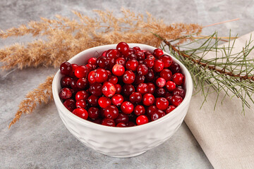 Ripe sweet sour cranberry heap