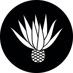 Agave logo.  Isolated agave on white background