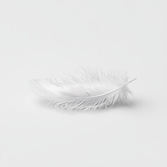Soft white feather resting on a neutral background with delicate textures showcased in soft light