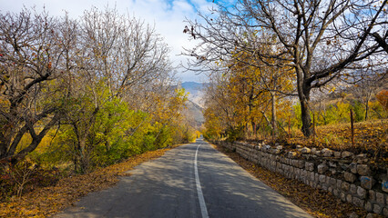 road in autumn