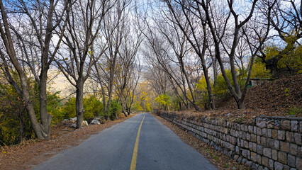 Autumn in the mesmerizing nature of Goshkhani village, where the colorful fall leaves create a symphony of beauty and endless tranquility.