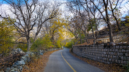 Autumn in the mesmerizing nature of Goshkhani village, where the colorful fall leaves create a...