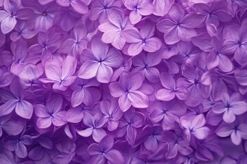 Obraz premium Lovely lilac blooms filling the frame, ideal for spring promotions and nature-themed creative projects, enchanting floral scenes for gardening and seasonal inspiration