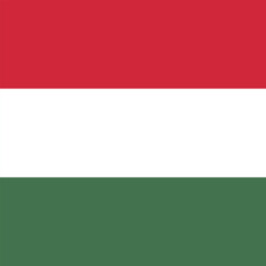 Flag of Hungary. Hungary square flag icon digital vector illustration