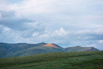 Scenic view from grassy flowering hill to high multicolor mountain under cloudy sky. Sunlit mountain top of sunset vivid colors in changeable weather. Dramatic twilight landscape with colorful tops.