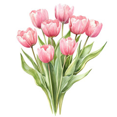 Fototapeta premium A vibrant bouquet of pink tulips elegantly arranged with lush green leaves.