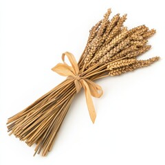Dried wheat stalks tied together with a ribbon for rustic decoration or culinary use in fall settings