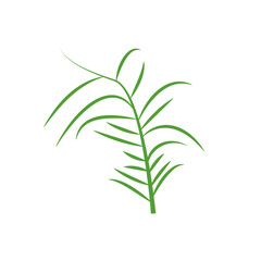 Set of organic minimalist silhouette summer and spring branches with leaves. Simple flower logo design element. Elegant floral twig decoration. Botanical simple. Plant icon set. Vector Graphic. EPS 10