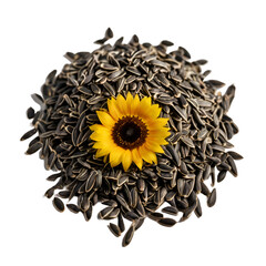 sunflower seeds isolated on white, Sunflower Seeds isolated on transparent white background png