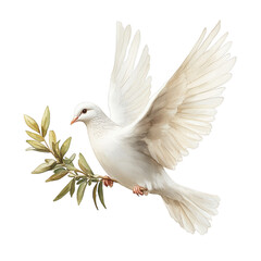 Obraz premium White dove with olive branch symbolizing peace and hope