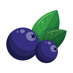 Blueberry icon. Isolated illustration of blueberry on white background. Berries illustration. Fresh and juisy berries.  Colourful design and decoration element. Flat design. Vector illustration.
