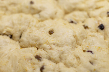 texture of yeast dough with raisins and orange peel