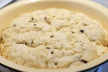 a bowl of yeast dough with raisins