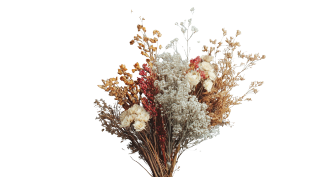 Bouquet of dried flowers with transparent background for easy integration