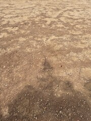 footprint on the sand