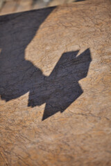A shadow of a hand holding tarot cards is sharply outlined on a textured wooden surface; the light...