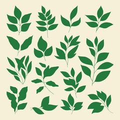 Set of branch and leaves vector
