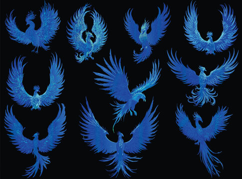 set of ten blue phoenixes isolated on black