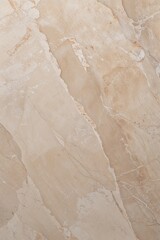  a marble surface. The style is natural and realistic, capturing the intricate details of the stone's texture.