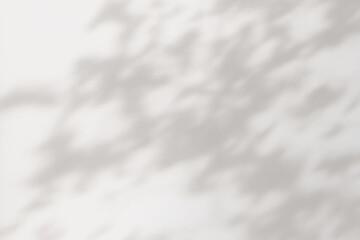 Shadow of the window on a gray background. Horizontal orientation, 3D rendering, overlay effect for photo