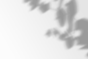 Shadow of the window on a gray background. Horizontal orientation, 3D rendering, overlay effect for photo