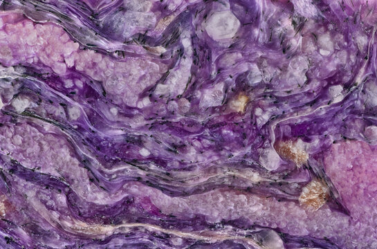 charoite mineral pink and dark lilac close-up