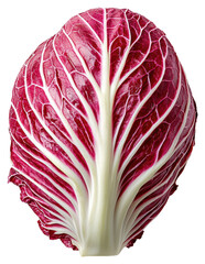 Obraz premium Single Radicchio Leaf Showing Crisp Texture and Vein Pattern on Transparent Background