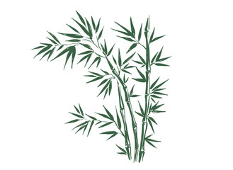 Bamboo tree, Hand drawn style. 
