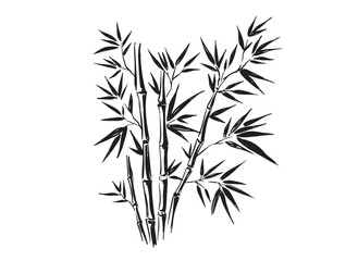 Fototapeta premium Bamboo tree, Hand drawn style. 