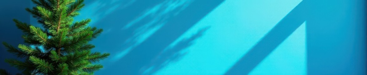 Tall pine against vibrant blue wall, sunlight dappled , backdrop, botanical
