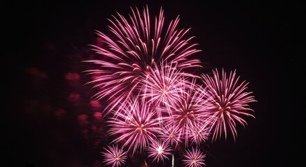 A vivid display of fireworks in the night sky featuring vibrant pink, red and white explosions