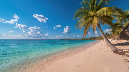 Obraz premium Idyllic Tropical Beach with Palm Trees and Pristine Turquoise Waters under a Clear Blue Sky