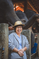 Naklejka premium Old mature fun smile traveler asian thai woman with hat relax in Maesa elephant camp Chiang Mai Thailand Happy elder enjoying travel holiday vacation concept